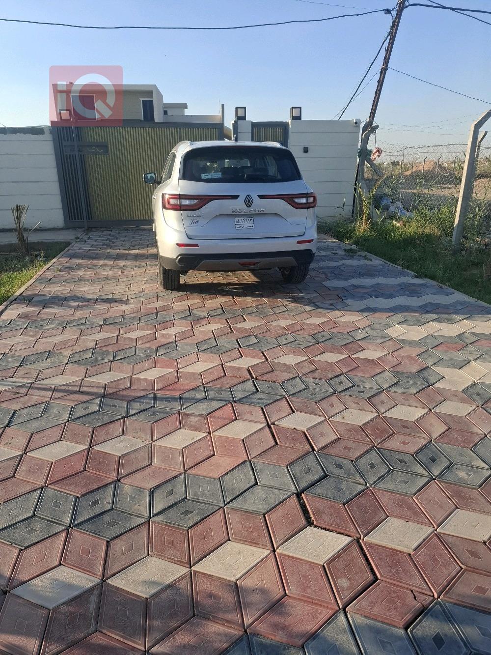 رينو كوليوس
